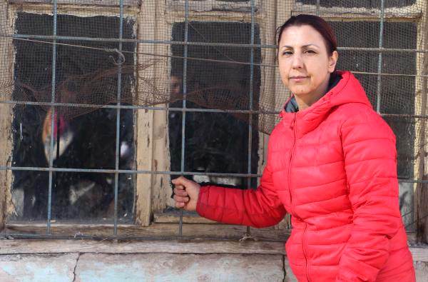 Köhne Binada Kilitli Tutulan Köpeği Hayvanseverler Kurtardı