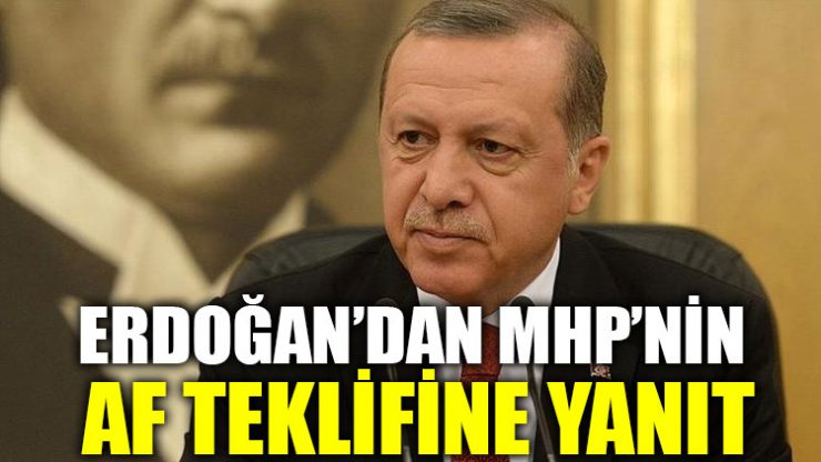 Erdoğan’dan MHP’nin af teklifine yanıt