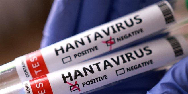 Sağlık Bakanlığı'ndan 'hantavirüs' açıklaması